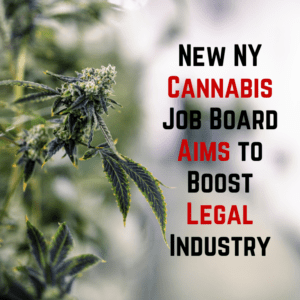New NY Cannabis Job Board Aims to Boost Legal Industry