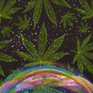 SXSW Opens Voting for 2025 Cannabis and Psychedelics Panels
