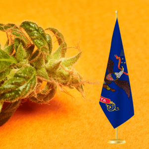 North Dakota to Vote on Cannabis Legalization for Third Time