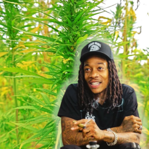 Wiz Khalifa’s Cannabis Brand Launches in Germany