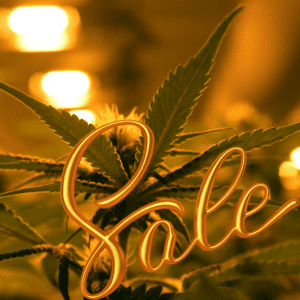 The Community Benefits of Recreational Cannabis Sales
