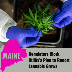 Maine Regulators Block Utility's Plan to Report Cannabis Grows
