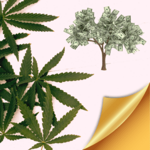 Adult-Use Market Doubles Sales for State Cannabis Retailers