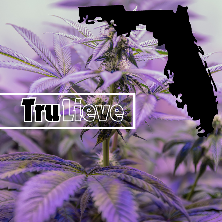 Trulieve to Launch New Medical Cannabis Dispensary in Orlando Trulieve to Launch New Medical Cannabis Dispensary in Orlando