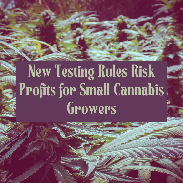 New Testing Rules Risk Profits for Small Cannabis Growers