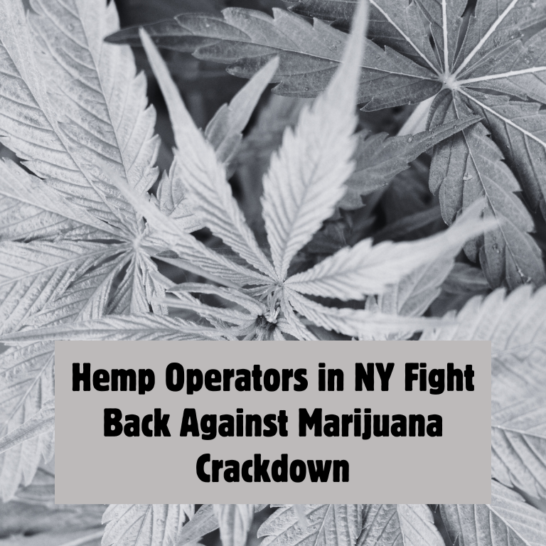 NY Hemp Operators Say Cannabis Crackdown Unfairly Targets Them
