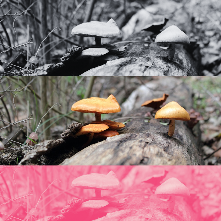 Feds Fund $2.4M Study on Psychedelics for Meth Addiction Feds Fund $2.4M Study on Psychedelics for Meth Addiction