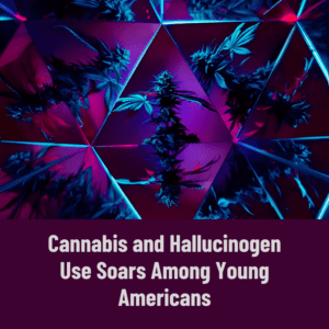 Record Highs in Cannabis and Hallucinogen Use Among Americans