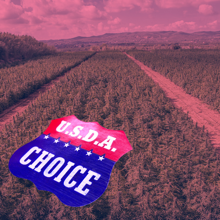 USDA Appoints New Hemp Rep to Enhance Global Trade USDA Appoints New Hemp Rep to Enhance Global Trade