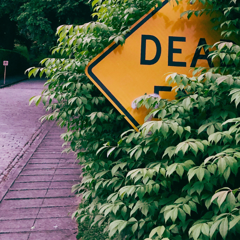 Schumer, Booker Urge DEA to Finalize Cannabis Rescheduling