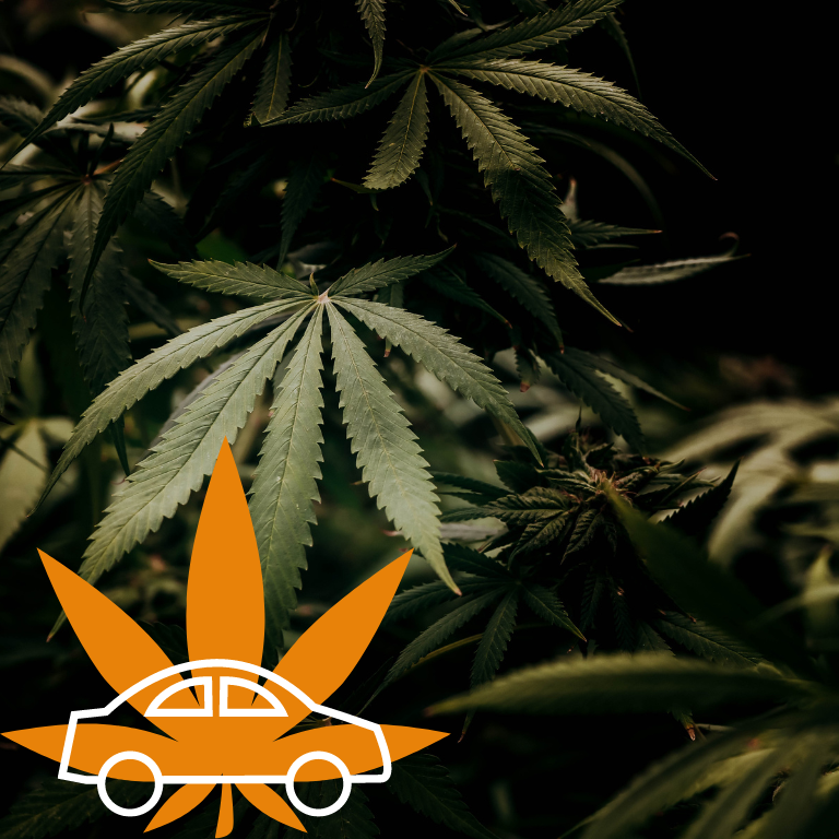 Volkswagen Explores Hemp Materials for Sustainable Cars