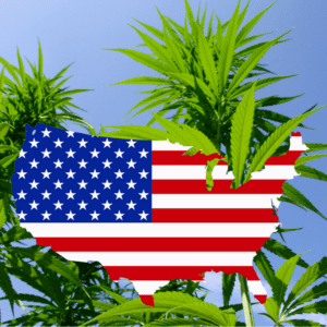 Is America's Cannabis Divide Finally Coming to an End?