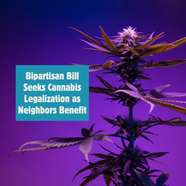 PA’s New Cannabis Bill Follows Neighboring States’ Cannabis Wins PA’s New Cannabis Bill Follows Neighboring States’ Cannabis Wins
