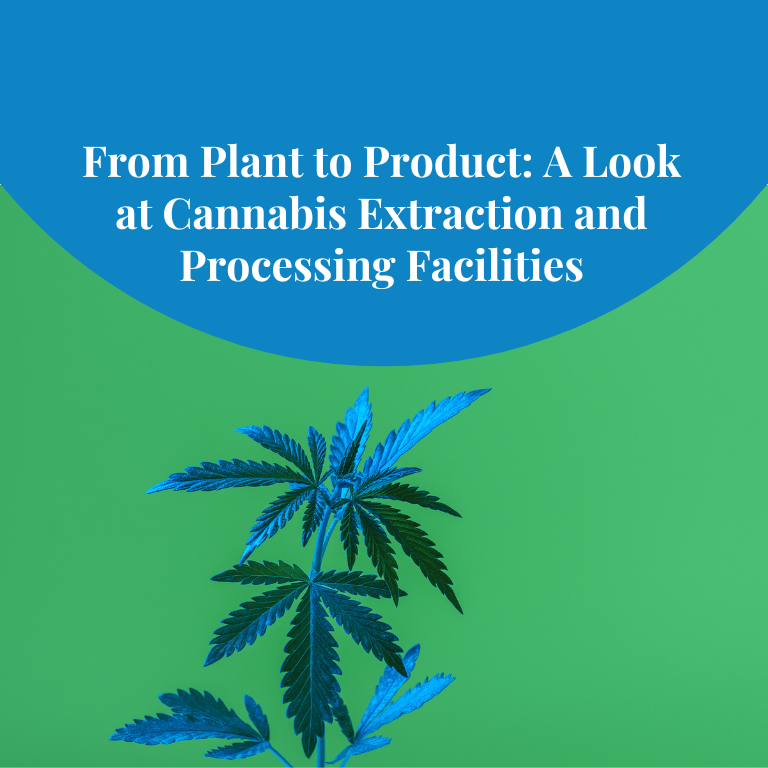 Cannabis Processing: Innovations in Extraction Facilities Cannabis Processing: Innovations in Extraction Facilities