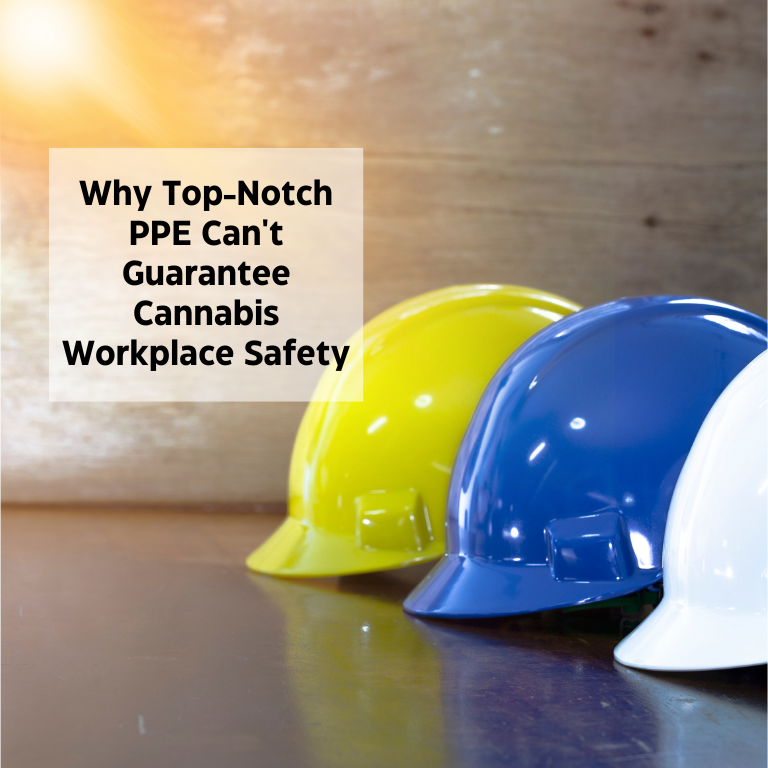 Why Top-Notch PPE Can't Guarantee Cannabis Workplace Safety Why Top-Notch PPE Can't Guarantee Cannabis Workplace Safety