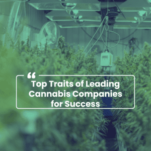 Key Success Factors for High-Performing Cannabis Companies