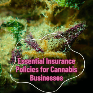 Essential Insurance Policies for Cannabis Businesses