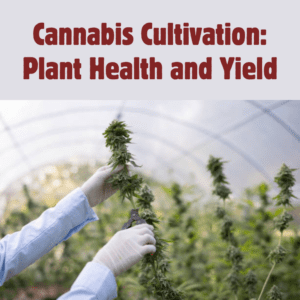 Enhancing Cannabis Cultivation with Microbials: Health & Yield