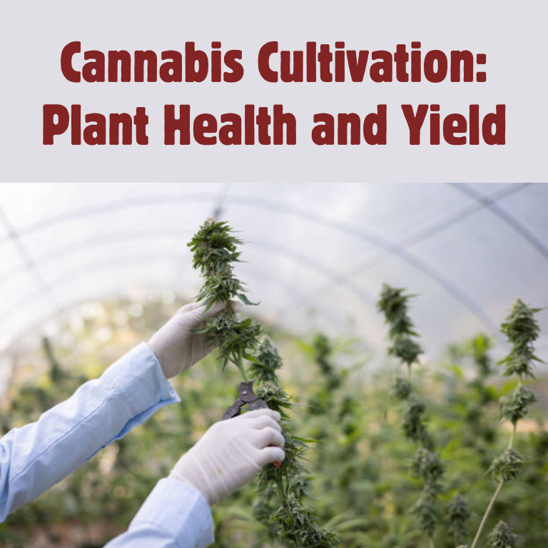 Enhancing Cannabis Cultivation with Microbials: Health & Yield