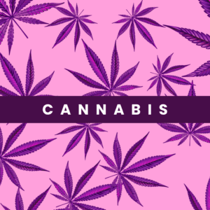 1 in 4 Older Michiganders Now Use Cannabis as Stigma Fades