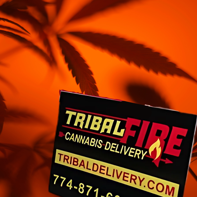 Tribal Fire: A Minority-Owned Cannabis Delivery Success Story Tribal Fire: A Minority-Owned Cannabis Delivery Success Story