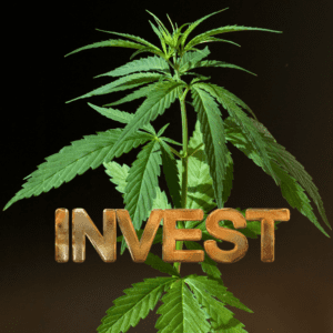 Why 2024 Will Be a Game-Changer for Cannabis Investment