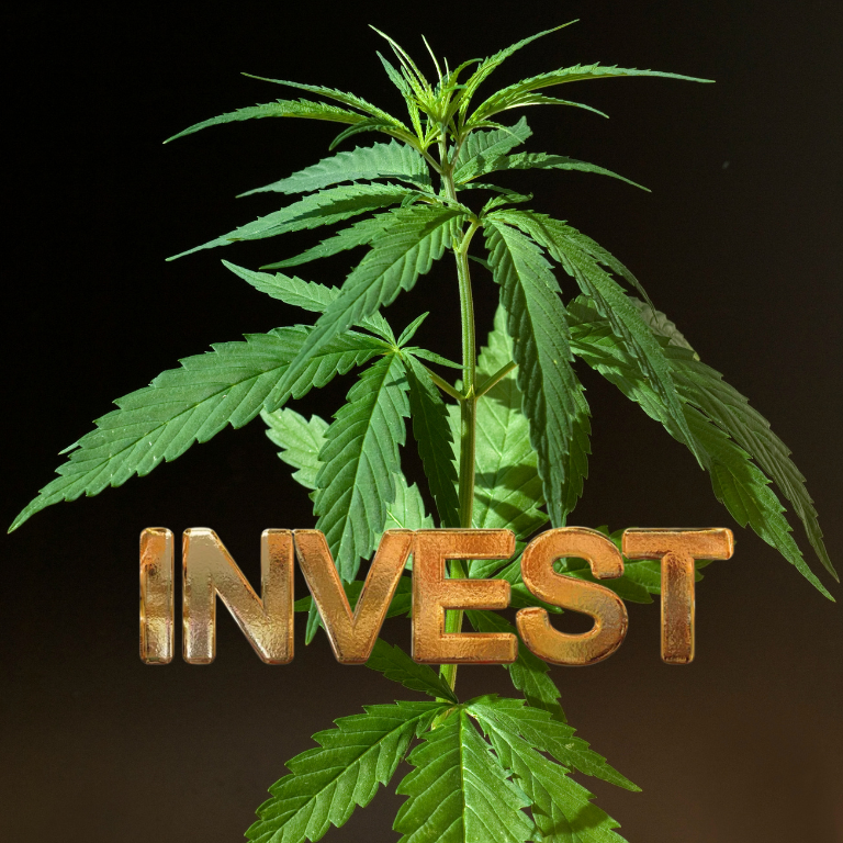 Why 2024 Will Be a Game-Changer for Cannabis Investment