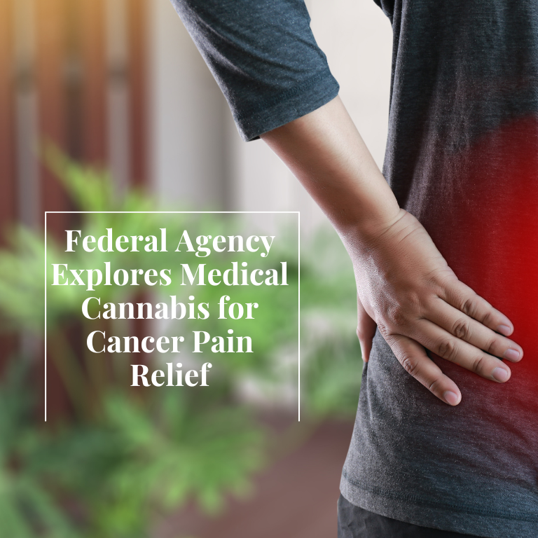Federal Agency Explores Medical Cannabis for Cancer Pain Relief Federal Agency Explores Medical Cannabis for Cancer Pain Relief