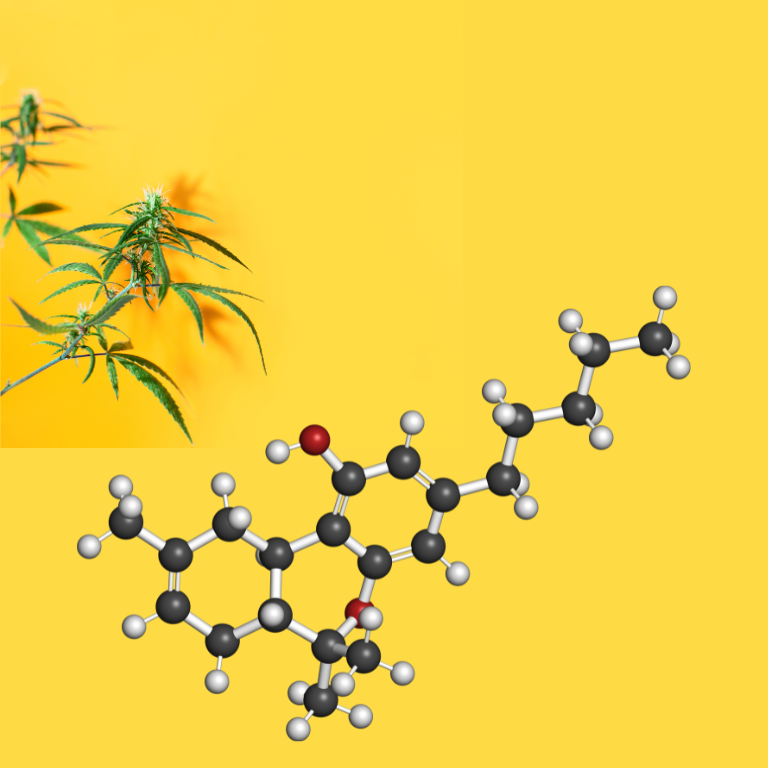 NBA's Al Harrington: "Impact Before Profit" in Cannabis Mission NBA's Al Harrington: "Impact Before Profit" in Cannabis Mission