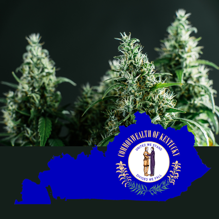 Kentucky Approves First License for Medical Cannabis Program Kentucky Approves First License for Medical Cannabis Program