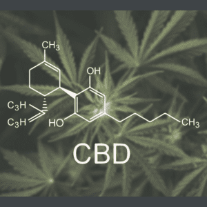 CBD and THC in Cannabis: New Insights on Their Interaction