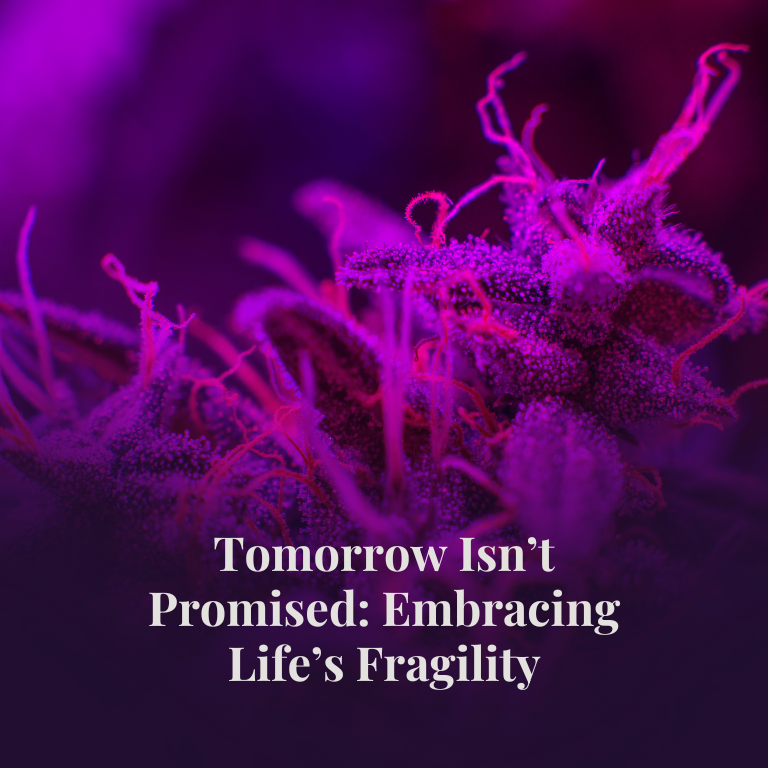 Tomorrow Isn’t Promised: Embracing Life’s Fragility Tomorrow Isn’t Promised: Embracing Life’s Fragility