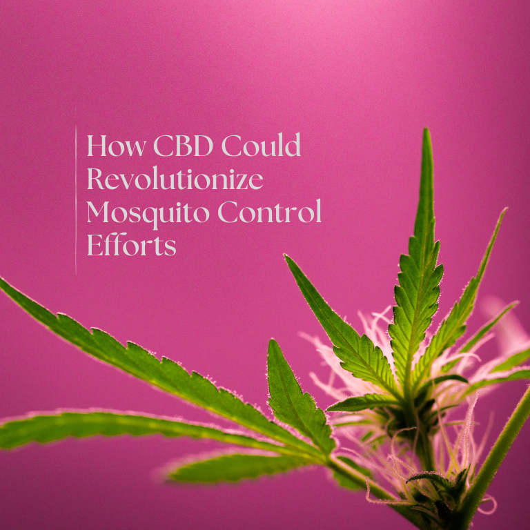 How CBD Could Revolutionize Mosquito Control Efforts
