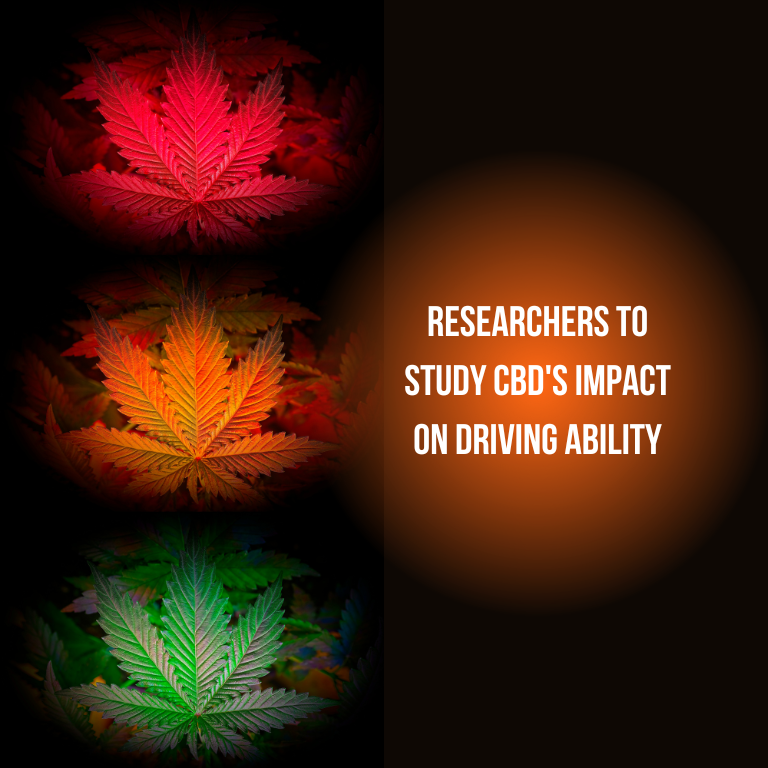 Researchers to Study CBD's Impact on Driving Ability Researchers to Study CBD's Impact on Driving Ability