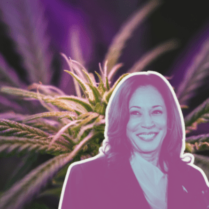 Wanda James Urges Kamala Harris to Address Cannabis Monopolies