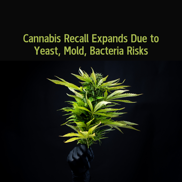 More Cannabis Recalled Over Yeast, Mold, and Bacteria Concerns More Cannabis Recalled Over Yeast, Mold, and Bacteria Concerns