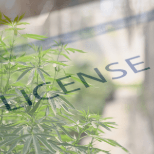 Costa Rica Grants 57 New Hemp Licenses for Cultivation