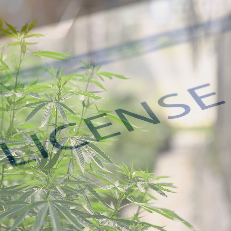 Costa Rica Grants 57 New Hemp Licenses for Cultivation