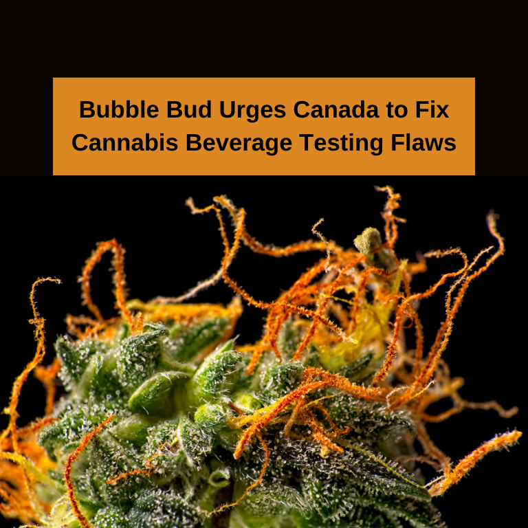 Bubble Bud Urges Canada to Fix Cannabis Beverage Testing Flaws Bubble Bud Urges Canada to Fix Cannabis Beverage Testing Flaws