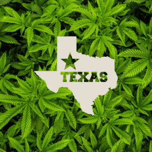 Texas Hemp Industry Battles Delta-8 Ban as Court Ruling Nears