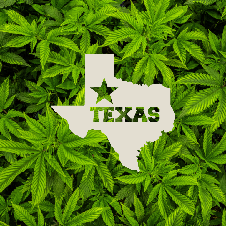 Texas Hemp Industry Battles Delta-8 Ban as Court Ruling Nears