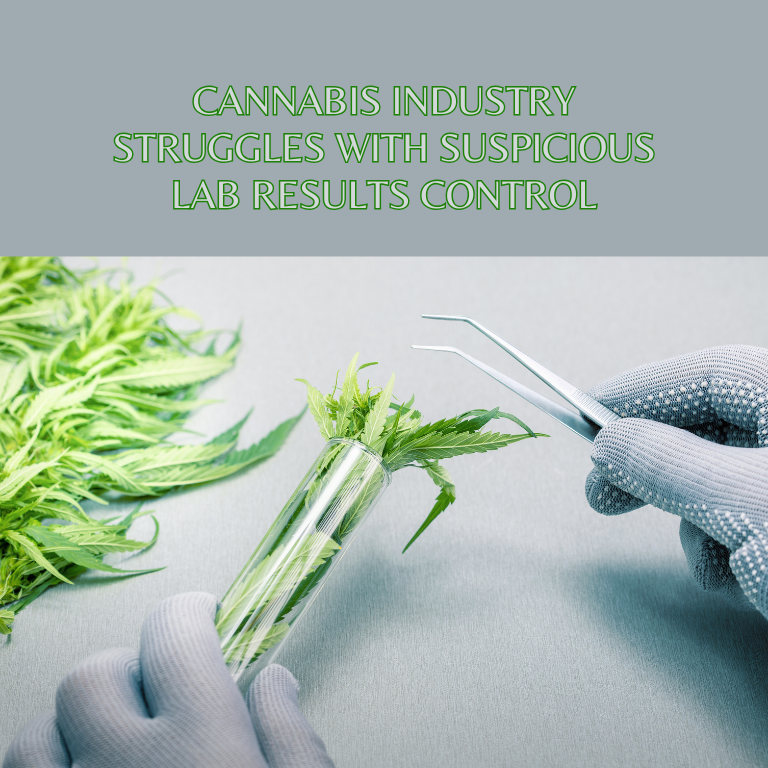 Cannabis Industry Struggles with Suspicious Lab Results Control Cannabis Industry Struggles with Suspicious Lab Results Control