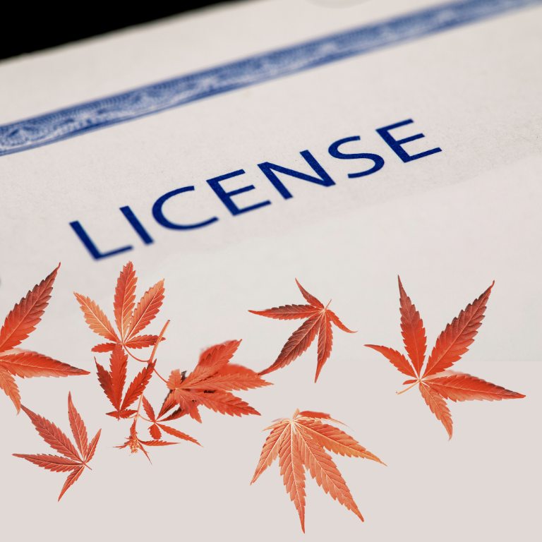 Veterans Day Outrage: Disabled NY Vets Denied Pot Licenses