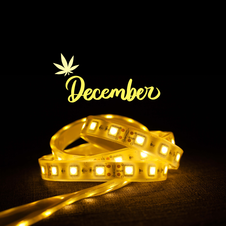 DE Cannabis License Winners Announced, Retail Lottery in December DE Cannabis License Winners Announced, Retail Lottery in December
