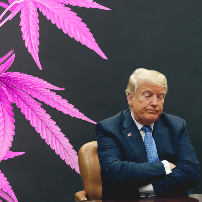 Trump's AG Pick Signals Hope for Cannabis Policy Reform Trump's AG Pick Signals Hope for Cannabis Policy Reform