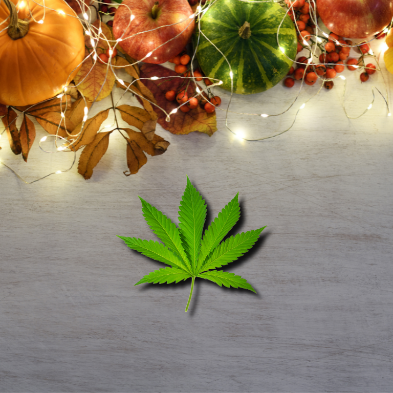 Officials Issue Post-Thanksgiving Reminders for Cannabis Users Officials Issue Post-Thanksgiving Reminders for Cannabis Users