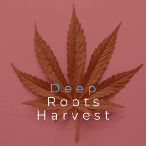 Deep Roots Harvest Acquires Nevada Cannabis Brand The Source