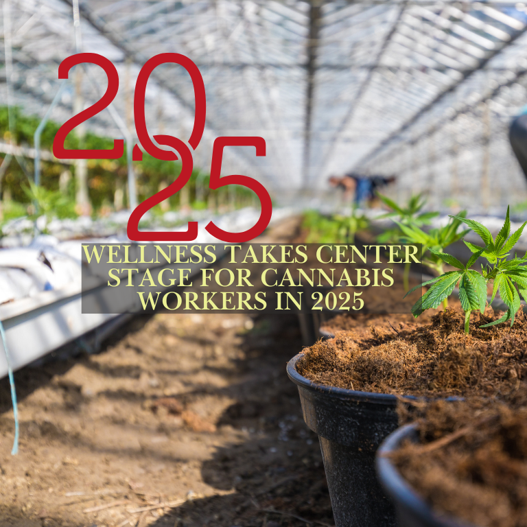 Wellness Takes Center Stage for Cannabis Workers in 2025 Wellness Takes Center Stage for Cannabis Workers in 2025