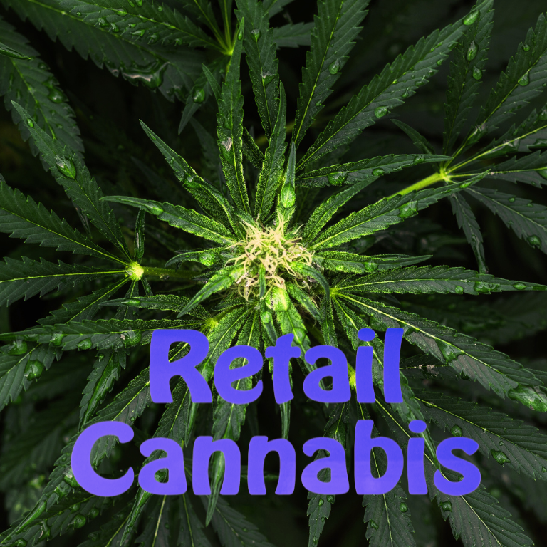 First Year in Cannabis Retail: High Injury Risk for Workers First Year in Cannabis Retail: High Injury Risk for Workers