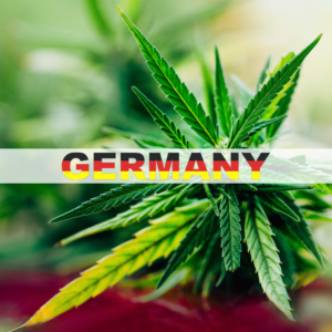 Germany’s Cannabis Market Opens Doors to Foreign Firms